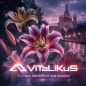 Обкладинка ViTaLiKuS – Мне мил прелестный ваш подарок