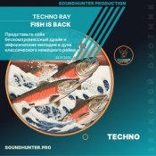 Обкладинка Techno Ray – Fish Is Back