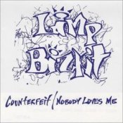 Обкладинка Limp Bizkit – Counterfeit (Lethal Dose Extreme Guitar Remix)