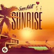 Обкладинка Sam Feldt – All The Things She Said