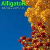 Обкладинка ALLIGATOR – Квітка УКРАЇНА