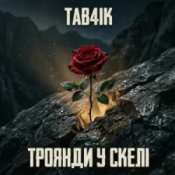 Обкладинка Tab4ik – Троянди у скелі
