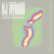 Обкладинка DJ Hybrid – Gone
