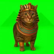 Обкладинка XertXetin – OIIA OIIA EGYPT CAT (Slowed)