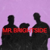 Обкладинка ItaloBrothers – Mr. Brightside
