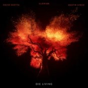 Обкладинка ILLENIUM & David Guetta & Dustin Lynch – Die Living