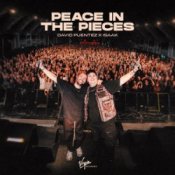 Обкладинка David Puentez & ISAAK – Peace In The Pieces