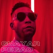 Обкладинка Don Omar – Guaya Guaya