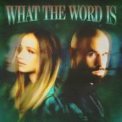 Обкладинка Jackie Hollander & Malóne & Baby Bash – What The Word Is