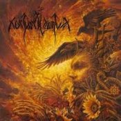 Обкладинка Nokturnal Mortum – Печаль родных земель