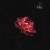 Обкладинка Anivar – Обещай (Kvmly & Zovo Kavkaz Remix)