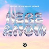 Обкладинка NIKSTER & Robin White & YRIQUE – Here & Now