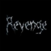 Обкладинка The Revenge – Every Night