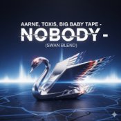 Обкладинка Aarne, Toxi$, Big Baby Tape – NOBODY (Swan Blend)