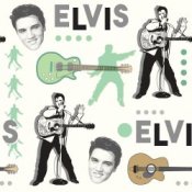 Обкладинка Elvis Presley – Such a Night