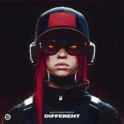 Обкладинка Bump Flicker & Diseptix – Different