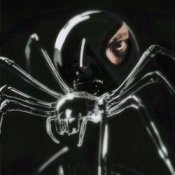 Обкладинка Dubinin – Чёрная вдова