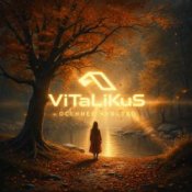 Обкладинка ViTaLiKuS – Осеннее чувство