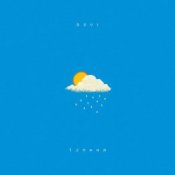 Обкладинка DOVI – Тумани