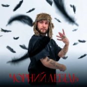 Обкладинка Гоня – Чорний лебідь