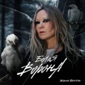 Слухати Женя Вилль – Залетаем В Новый Год