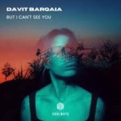 Слухати Davit Barqaia – But I Can t See You