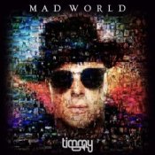 Обкладинка Timmy Trumpet – Mad World