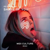 Обкладинка Ed Sheeran – Shape Of You