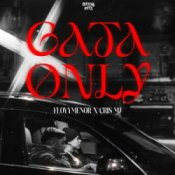 Слухати FleyMianer & Cris MJ – Gata Only