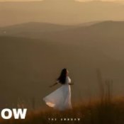 Слухати The Shadow – The lesson of love