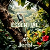 Jerbi - Fav Tracks Mix: ESSENTIAL || Uplifting Trance Mix