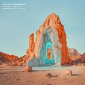 Обкладинка Honey & Badger – Gospel Tool