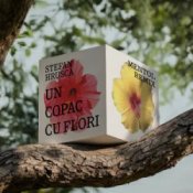 Слухати Stefan Hrusca – Un copac cu flori (Mentol Remix)