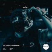 Обкладинка Ad Voca – Down Low