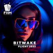 Обкладинка Bitwake – Flight 3033