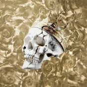 Обкладинка Jelly Roll feat. Ilsey – When the Drugs Don’t Work