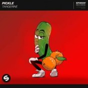 Обкладинка Pickle – Journey