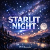 Обкладинка TNT Records – Stalit Night