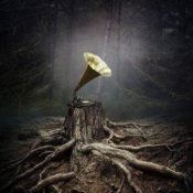 Борис Гребенщиков - Безъядерная Зона (Виктор Цой)