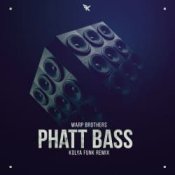 Обкладинка Warp Brothers – Phatt Bass (Kolya Funk Remix)
