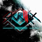 Обкладинка Skrillex – Voltage