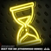 Обкладинка Subsonic – Wait For Me (Etherwood Remix)