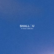 Обкладинка Shallou & OCULA – Face in the Crowd (OCULA Remix)