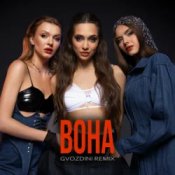 Обкладинка Mirami – Вона (Gvozdini Remix)