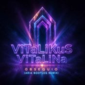 Обкладинка ViTaLiKuS – Obsequio (Aria Bootleg Remix)