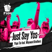 Обкладинка Papa Tin & Wayward Brothers – Just Say Yes Papa