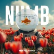 Обкладинка Linkin Park – Numb (Mentol Remix) Aurah Cover
