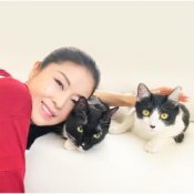 Обкладинка Ayako Fuji – Omoide Zukuri