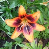 EiZ - Я тебя видел с другим