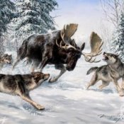 Обкладинка НАШЕСТВИЕ ЛЕГЕНД & Олег Стебловский – Волки - Эпическая Баллада